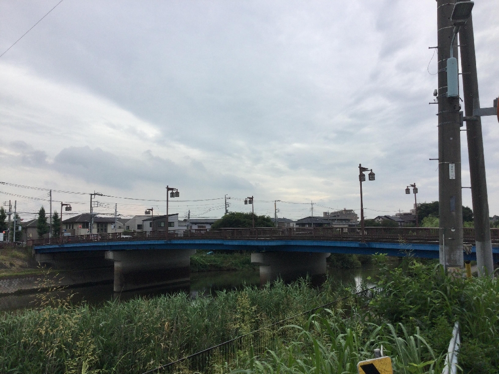 「手をふる」～あんなこと・こんなこと　保護者だよりからの抜粋～